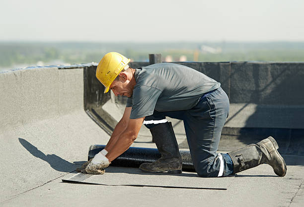 Best Residential Insulation in Marcellus, MI