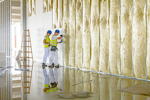 Best Insulation Installation Services in Marcellus, MI